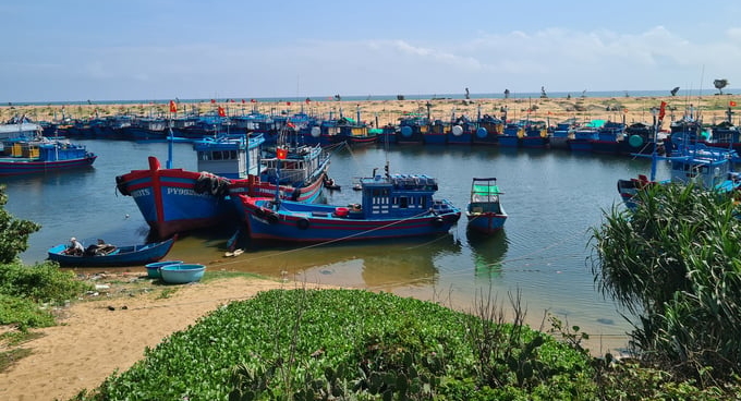 According to the plan, stakeholders will focus on enhancing and strengthening the management capacity of the fishing port and vessel shelter system from central to local levels. Photo: Hong Tham.