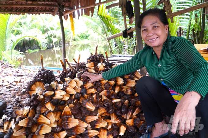 Hiện trên địa bàn xã Mỹ Phước (huyện Mỹ Tú, Sóc Trăng) có 60 – 70 hộ làm nghề chẻ dừa nước. Ảnh: Kim Anh.