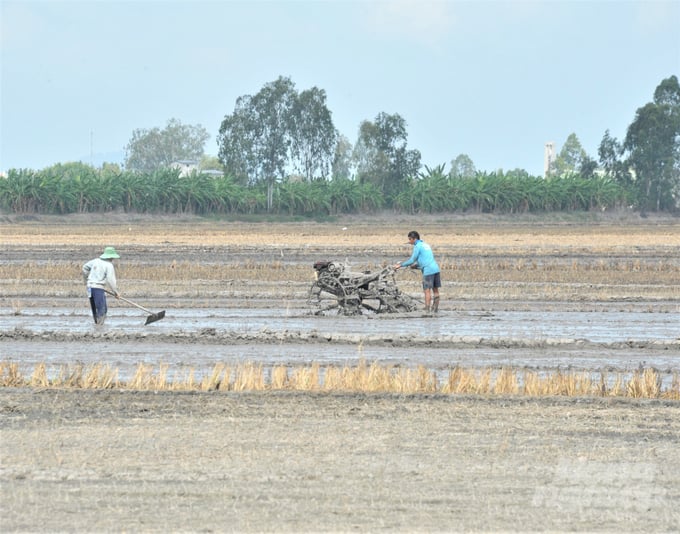 Ngành nông nghiệp Kiên Giang khuyến cáo nông dân làm đất kỹ trước khi gieo sạ vụ lúa mới. Ảnh: Trung Chánh.