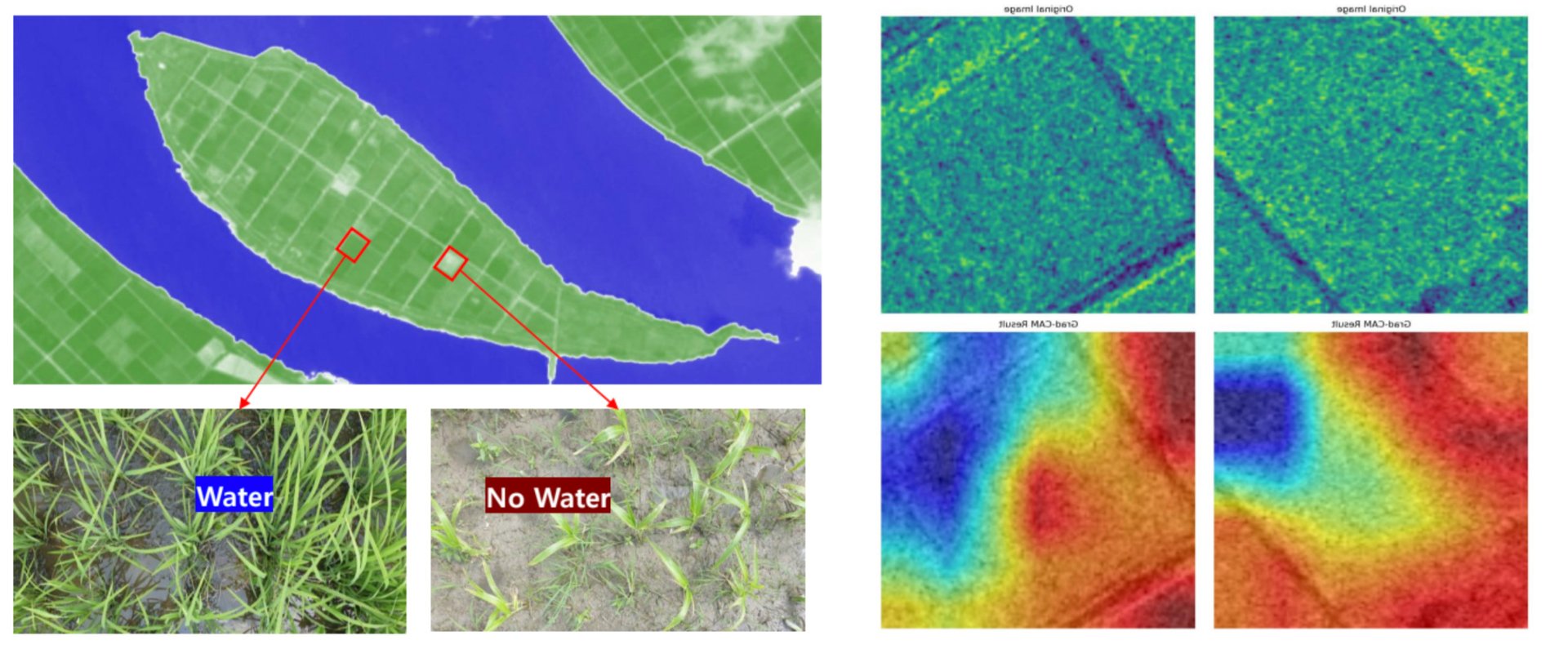 Analyze satellite images with AI to determine the time fields are flooded and drained, increasing the transparency of the farming process to reduce emissions. Photo: Thanks Carbon.