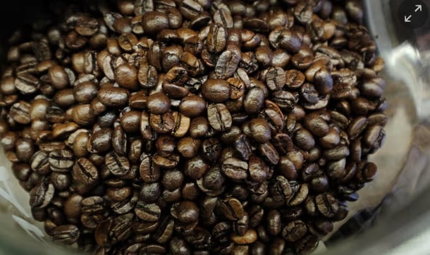 In coffee, researchers suspect beans, water used for brewing, or soil could be contaminated with PFAS. Photograph: Luong Thai Linh/EPA