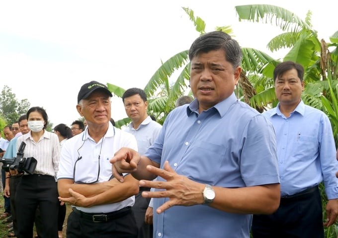 Deputy Minister of Agriculture and Rural Development Tran Thanh Nam (second from right) directed support for cooperatives implementing pilot models in the project of 1 million hectares of high-quality, low-emission rice. Photo: HT.