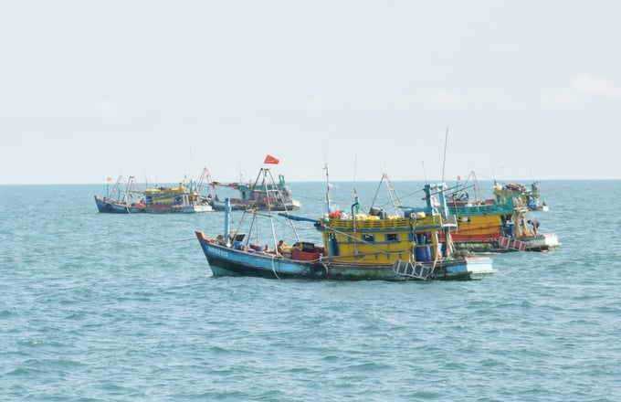 The situation of fishing vessels and fishermen violating foreign waters remains complex. Photo: Hong Tham.