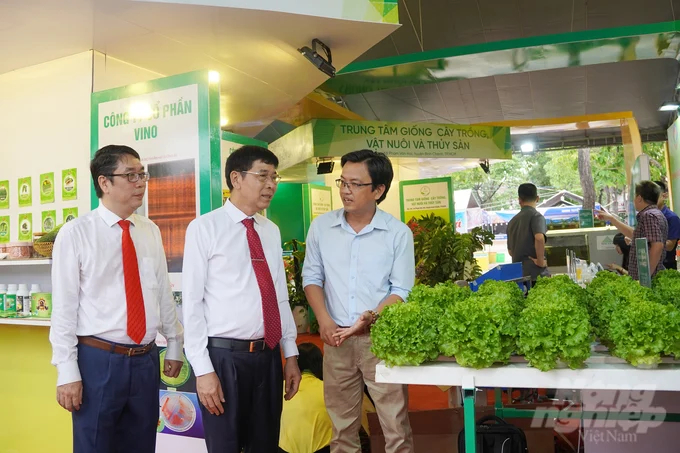 Ho Chi Minh City aims to produce vegetables and mushrooms according to safety standards, shifting from traditional market products to high-quality goods supplied to supermarkets and restaurants. Photo: Nguyen Thuy.