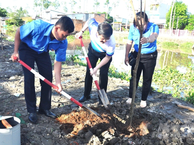 Ông Trần Văn Huyến (giữa), Phó Bí thư Thường trực Tỉnh ủy, Chủ tịch HĐND tỉnh Hậu Giang cùng các đại biểu tham gia trồng cây xanh hưởng ứng giải Marathon quốc tế 'Vietcombank Mekong Delta' tỉnh Hậu Giang lần thứ V năm 2024. Ảnh: Trung Chánh.