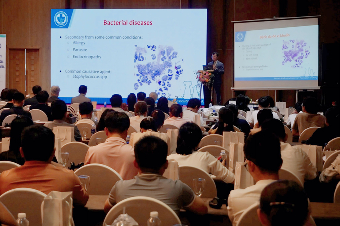 15 specialized reports in the field of veterinary dermatology were presented at the 6th Asian Veterinary Dermatology Association Scientific Conference. Photo: A.N.