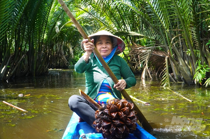 Dừa nước hiện được xem là một trong những cây trồng xóa đói giảm nghèo hiệu quả cho người dân nông thôn ở xã Mỹ Phước, huyện Mỹ Tú, tỉnh Sóc Trăng.