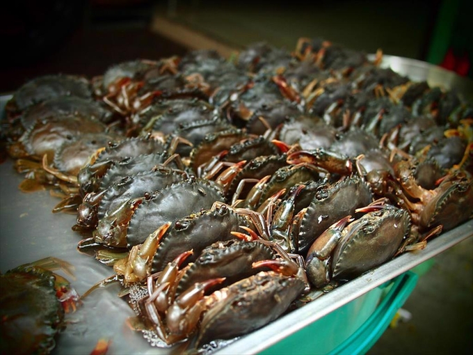 Only in May 2024, the export of crabs and other crustaceans to this market increased by 418% year-over-year. Photo: VASEP. 