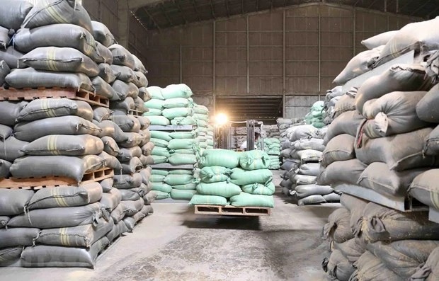 The General Department of State Reserves has established inspection teams to verify the quality management of rice during the storage process