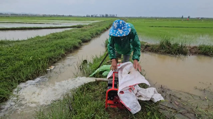 Sau những trận mưa lớn, người dân huyện Quảng Ninh tranh thủ bơm nước từ ao hồ vào kênh mương để dự trữ và tưới cho diện tích lúa. Ảnh: T.P