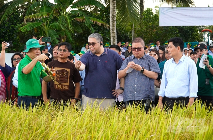 Bộ trưởng Bộ Nông nghiệp Philippines, ông Francisco P.Tiu Laurel, Jr. (đứng thứ 2, từ phải sang) tham quan cánh đồng giảm phát thải Cần Thơ. Ảnh: Kim Anh.