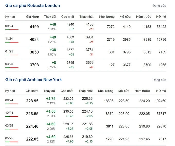 Latest Arabica and Robusta Prices on 07/08/2024