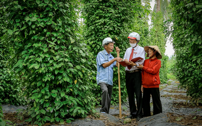 Agribank Hoài Ân cho nông dân huyện Hoài Ân (Bình Định) vay vốn cải tạo vườn tạp, trồng các loại cây ăn quả có giá trị kinh tế cao. Ảnh: V.Đ.T.