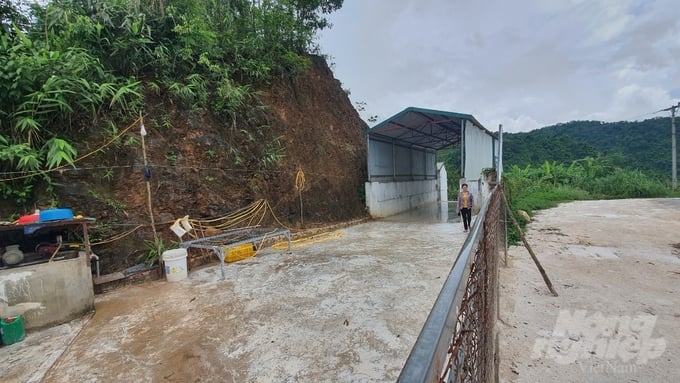 A pig farming facility in My Thanh commune, Bach Thong district, locked and barred from outsiders during the outbreak. Photo: K.Trung.