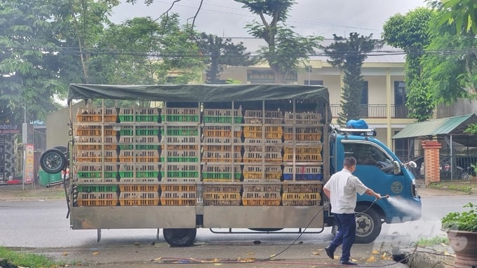 Officers from a local animal quarantine station spraying disinfectant on vehicles used to transport livestock across the borders of Bac Kan province. Photo: K.Trung.