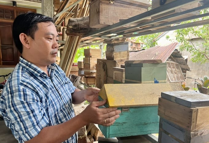 Mr. Nguyen Van Khuong showed the stingless bee-raising boxes. Photo: KS.