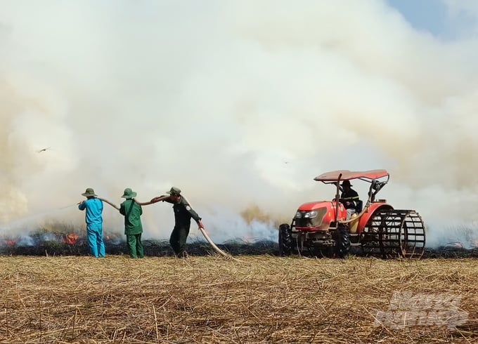 During the first half of 2024, Tram Chim National Park recorded seven fires across sectors  A1, A2, A3, and A5; resulting in over 34 hectares of damage. Photo: Le Hoang Vu.