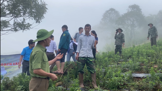 Nhân viên kỹ thuật của Công ty Cổ phần Dược Nam Sơn tập huấn, chuyển giao kỹ thuật trồng cây nam đảng sâm cho bà con bản Giôn. Ảnh: Văn Thiệu.