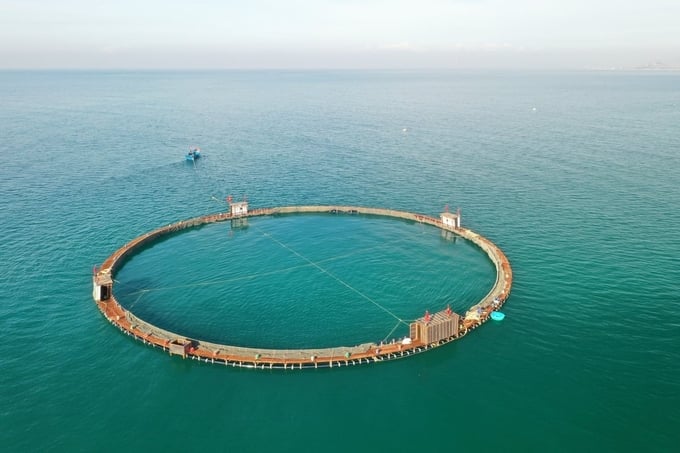 East Sea Jumping Squid Joint Stock Company launched the largest sea cage in Vietnam. The project was designed by CEO Nguyen Ba Ngoc and constructed continuously for nearly two months. Photo: Hoang Anh.