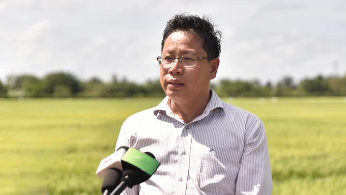 Director of the Cuu Long Delta Rice Institute, Tran Ngoc Thach, emphasized the necessity of investing in basic research to foster new breakthroughs in rice science.  Photo: Quynh Chi.