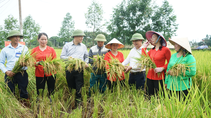 Thời gian tới, tỉnh Quảng Ninh sẽ xây dựng dự án trồng lúa giảm phát thải. Ảnh: Nguyễn Thành.