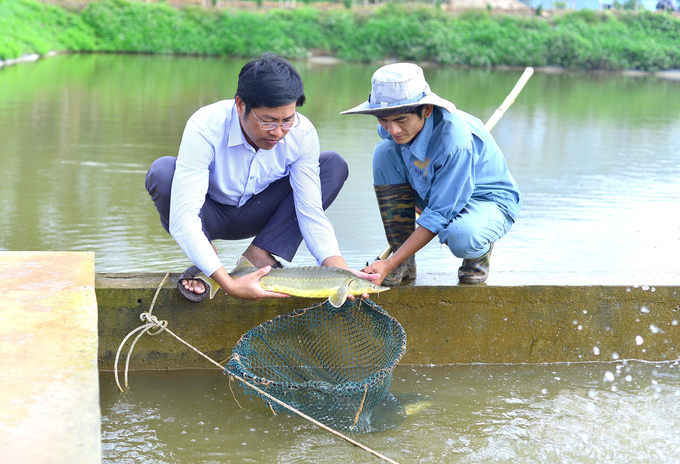 Các nghiên cứu về sản xuất giống và công nghệ nuôi cá tầm đã được người dân áp dụng rộng rãi trong sản xuất. Ảnh: NNVN.