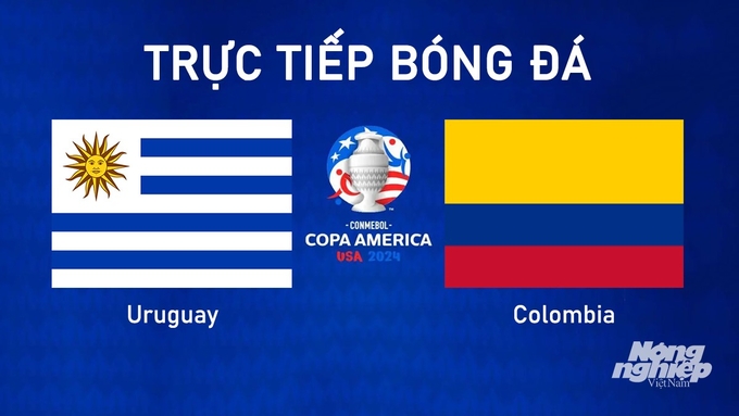 Trực tiếp bóng đá Copa America giữa Uruguay vs Colombia hôm nay 11/7/2024