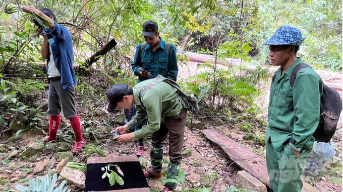 The consulting group recorded images of species in the process of implementing field activities. Photo: USAID.