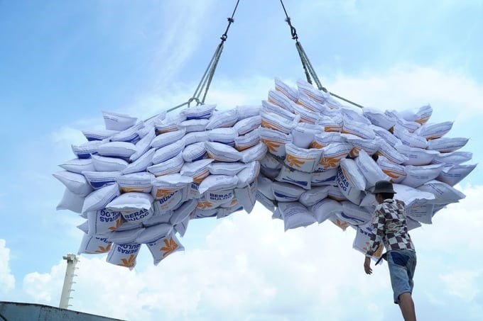 Vietnamese rice exports to the Indonesian market are likely to experience disadvantages in the coming time. Photo: Loc Troi.