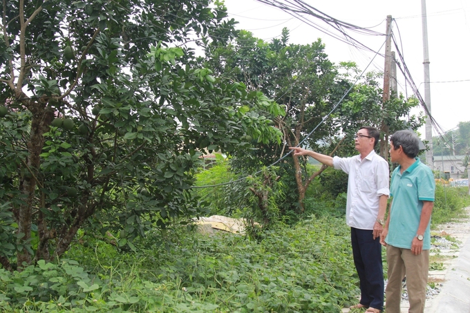 Hàng trăm hộ dân ở các địa phương trong huyện đã tự nguyện hiến đất làm đường và các công trình cơ sở hạ tầng. Ảnh: Thanh Tiến.