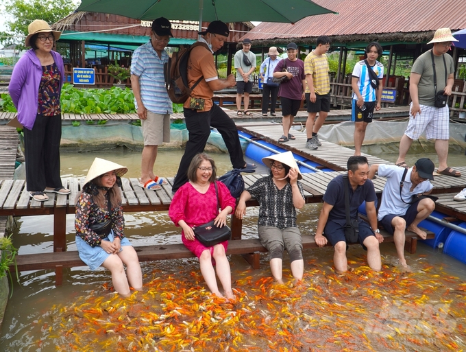 Du khách thích thú tham gia trải nghiệm tại bè cá Bảy Bon. Ảnh: Kim Anh.