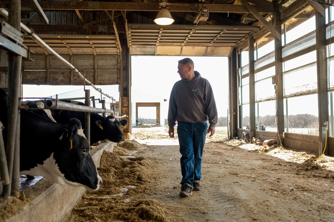 Dairy farmer Brent Pollard walks past and examines the cow pen at a cattle farm in Rockford, Illinois, U.S., April 9, 2024. Photo: Reuters.