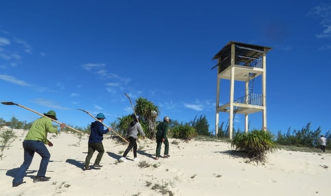 Local forest protection force patrolling the coastal forests under the scorching midday sun. Photo: T.P.