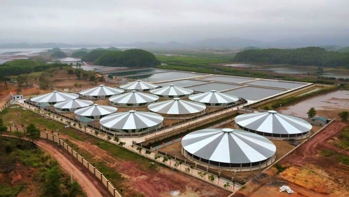 Mr. Dang Ba Manh's high-tech shrimp farming area in Dong Coi village (Cong Hoa commune, Cam Pha city) is invested on a large scale, worth over VND 80 billion. Photo: Cuong Vu.