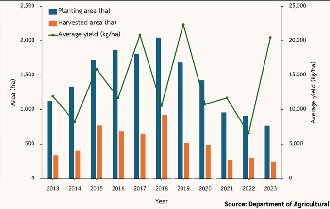 Passion fruit production in Thailand from 2013 - 2023. Source:  Department of Agriculture, Thailand.