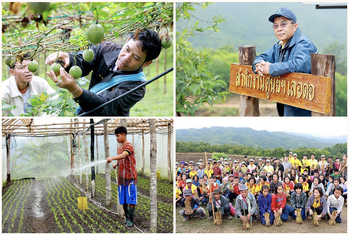 The Royal Thai Project Foundation has improved mountainous people's lives and farming techniques. Photo: Nation Thailand.