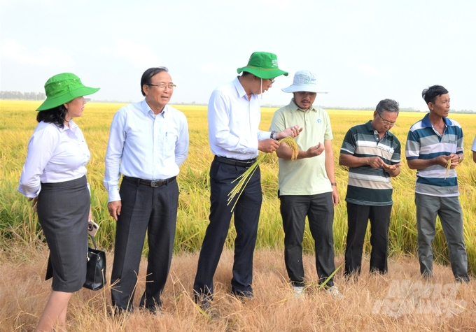 Phát triển kinh tế tập thể, các thành viên hợp tác xã được hỗ trợ tốt các khâu dịch vụ như: bơm tát, làm đất, thu hoạch, vật tư nông nghiệp và liên kết tiêu thụ sản phẩm, nâng cao thu nhập cải thiện đời sống. Ảnh: Trung Chánh.