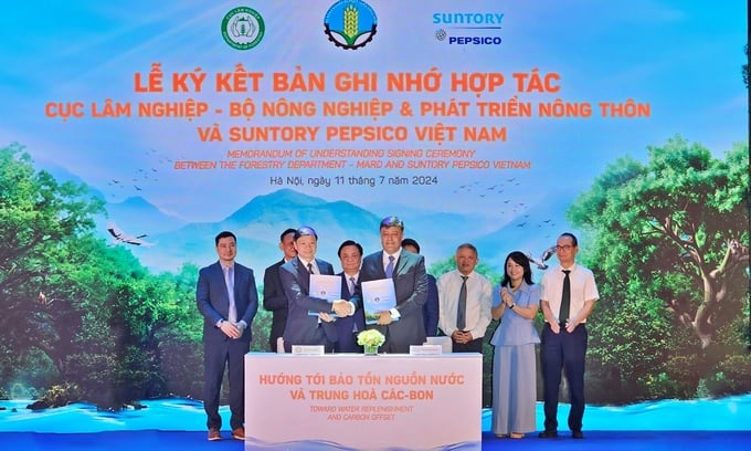 Representatives from the Department of Forestry and Suntory PepsiCo Vietnam signing a memorandum of understanding. Photo: Bao Thang.