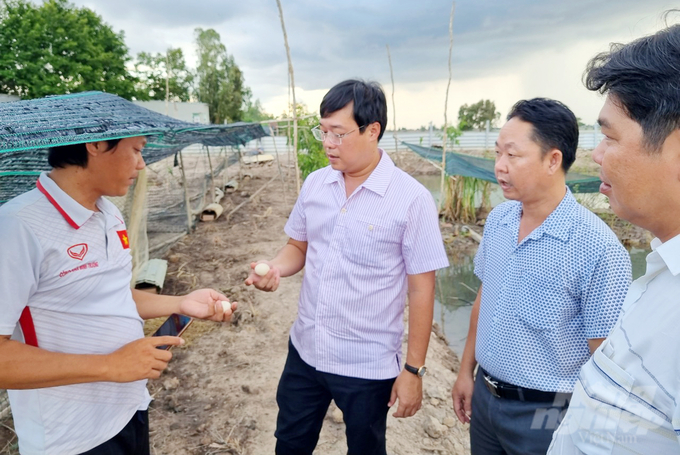 Bí thư Tỉnh ủy Đồng Tháp Lê Quốc Phong đến thăm mô hình nuôi le le, vịt trời của gia đình ông Trần Văn Sơn. Ảnh: Lê Hoàng Vũ.