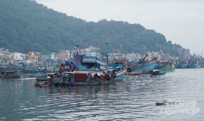 Hội Nghề cá Bà Rịa - Vũng Tàu là chỗ dựa vững chắc cho các hội viên và ngư dân, góp phần phát triển nghề khai thác, nuôi trồng và chế biến thủy sản của tỉnh.