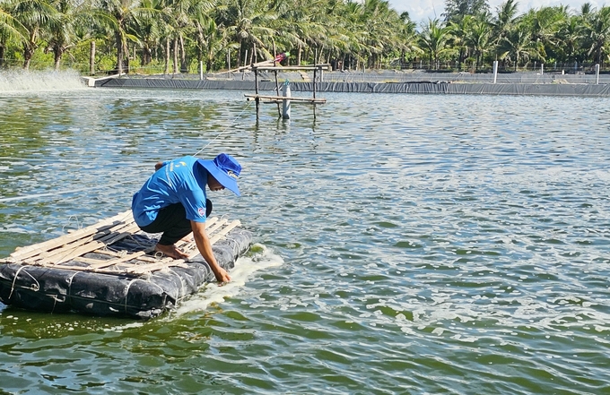 Người nuôi tôm thường xuyên kiểm tra hồ trong những ngày nắng nóng kéo dài. Ảnh: T.P.