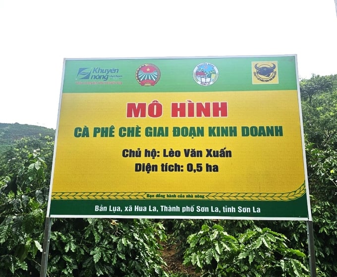 Mô hình điểm Canh tác cà phê thông minh thích ứng với biến đổi khí hậu. Ảnh: Hoàng Anh.