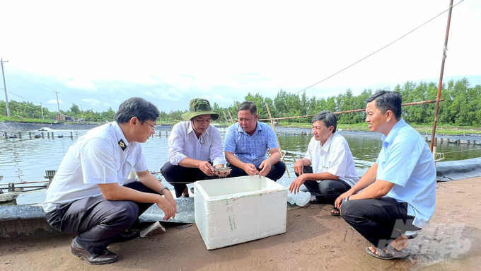 Chi cục Chăn nuôi và Thú y tỉnh Sóc Trăng kiểm tra, hướng dẫn hộ nuôi tôm các giải pháp phòng bệnh hoại tử gan tụy cấp. Ảnh: Văn Vũ.