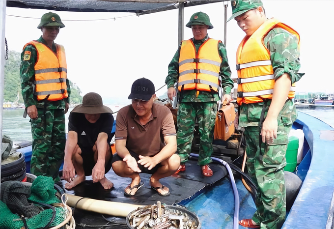 Đồn Biên phòng Hạ Long bắt giữ tàu cá chưa đăng ký phương tiện và chưa có giấy phép khai thác thủy sản tại khu vực vùng biển giáp ranh giữa xã Quan Lạn và xã Ngọc Vừng, huyện Vân Đồn. Ảnh: Cường Vũ.