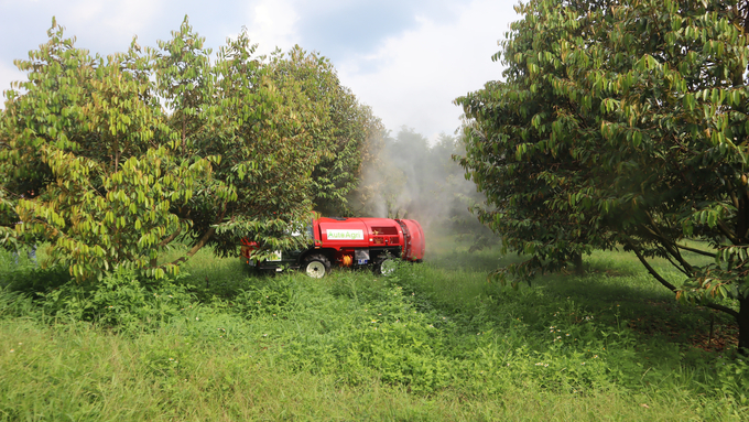 Trang trại sầu riêng Gia Bảo Ecofarm của anh Nguyễn Minh Hiếu ở thị xã Phước Long. Ảnh: Trần Trung.