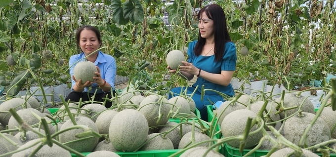 Nông dân lo lắng kiến nghị về vật tư nông nghiệp bán mỗi nơi một giá, gây nghi ngờ về chất lượng nông sản làm ra, bị phụ thuộc vào thương lái, lo ngại sản xuất nông nghiệp bị ảnh hưởng do ô nhiễm môi trường. Ảnh: Minh Sáng.