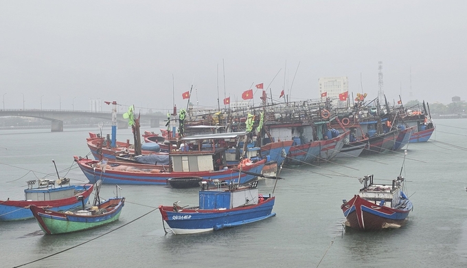 Tàu thuyền của ngư dân Quảng Bình cơ bản đã kịp thời vào bờ tránh trú án toàn. Ảnh: T.P.