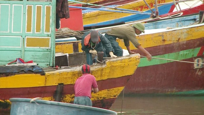 Chằng buộc tàu thuyền chắc chắn để tránh sự cố trong mưa lũ. Ảnh: T.P.