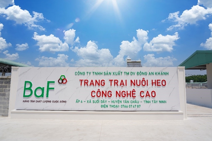 BaF Việt Nam thông tin về việc bị xử phạt hành chính bởi Ủy Ban chứng khoán Nhà nước và lượng cổ phiếu ESOP phát hành chưa thành công. Ảnh minh họa.