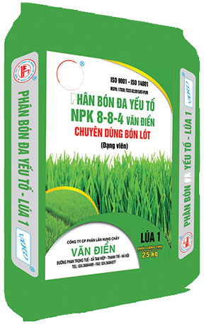 Lúa 1, một trong những sản phẩm trong bộ phân bón đa yếu tố NPK Văn Điển chuyên dùng bón lót cho lúa.